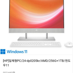HP 올인원 컴퓨터 HP 24-dp0205kr
