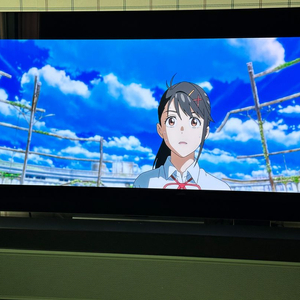 Lg Oled55c2 evo 판매 올레드 티비