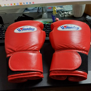 위닝 글러브 8oz 레드 벨크로
