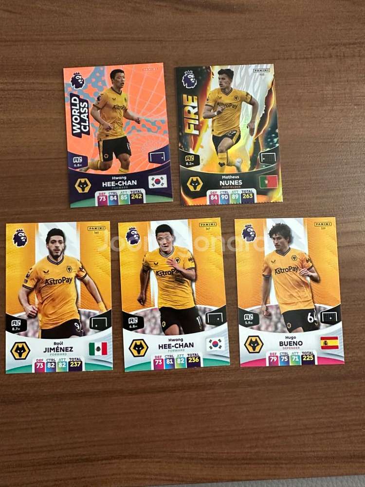 23/24 EPL 파니니 카드 판매--1