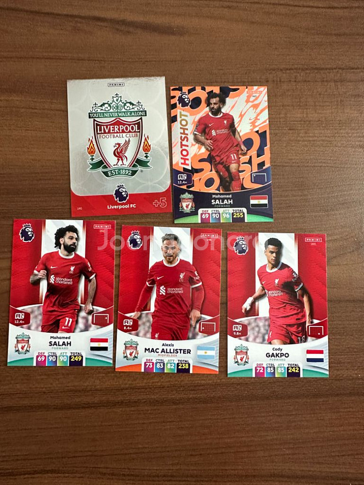 23/24 EPL 파니니 카드 판매--3