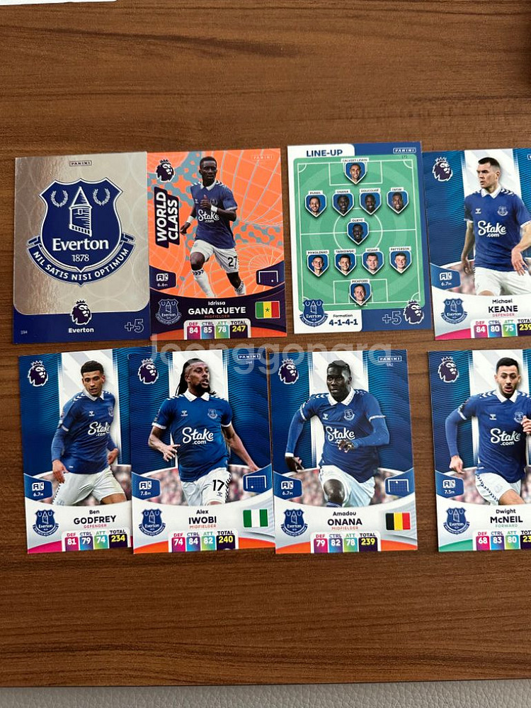 23/24 EPL 파니니 카드 판매--7