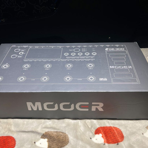 무어 MOOER GE-300 일렉기타 멀티이펙터