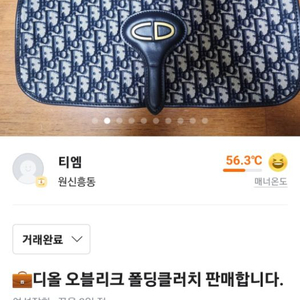 당근_디올 폴딩클러치