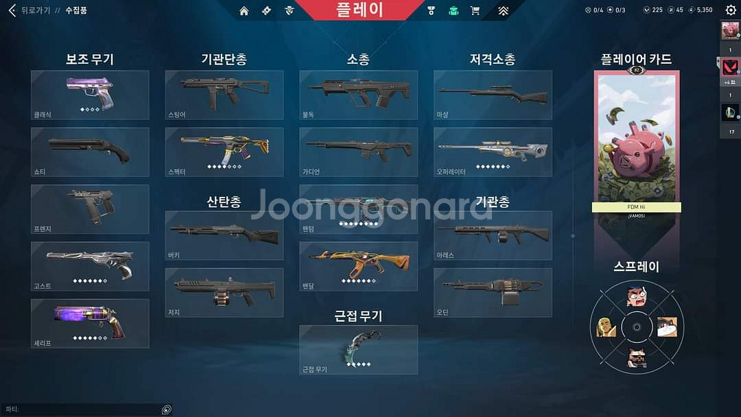 발로란트 장패드--2