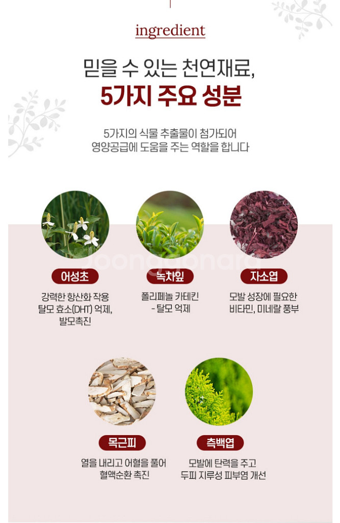 머리숱진짜많아졌어요!천연탈모샴푸1+1(후기극찬)--4