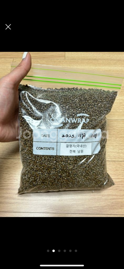 직접 재배한 결명자차--1