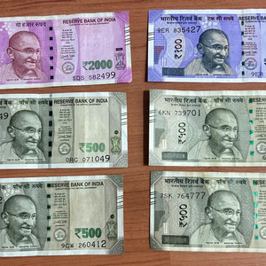 인도 돈 판매