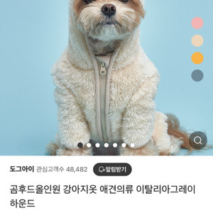 도그아이 곰돌이 올인원 강아지 후리스