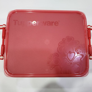 타파웨어 퓨어 김치 키퍼 5.5L(1) 빨강 판매
