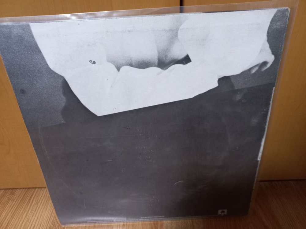 견니 jenny tseng lp 이미지