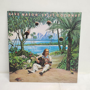 Dave Mason 데이브 메이슨 lp