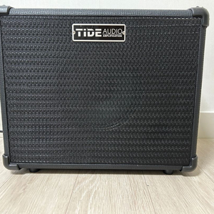 Tide Audio 15W 베이스 앰프