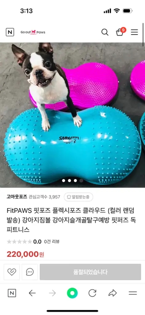 강아지 피트니스 애견피트니스 이미지