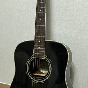 fender 12현 통기타