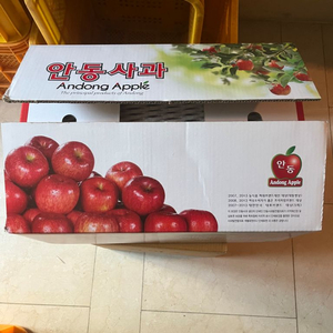 안동 사과 10kg