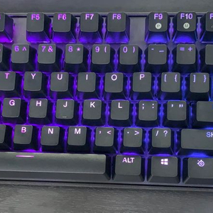 스틸시리즈 Apex Pro TKL 2022 유선 키보드