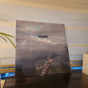 콜드 wave LP (미개봉)