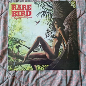 RARE BIRD lp