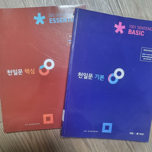 천일문 기본, 핵심