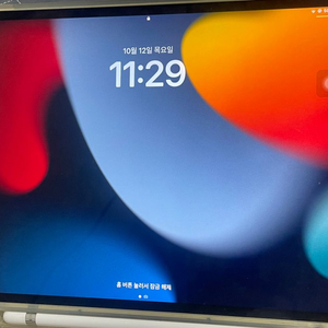 아이패드 프로 10.5+애플 펜슬 급처 합니다