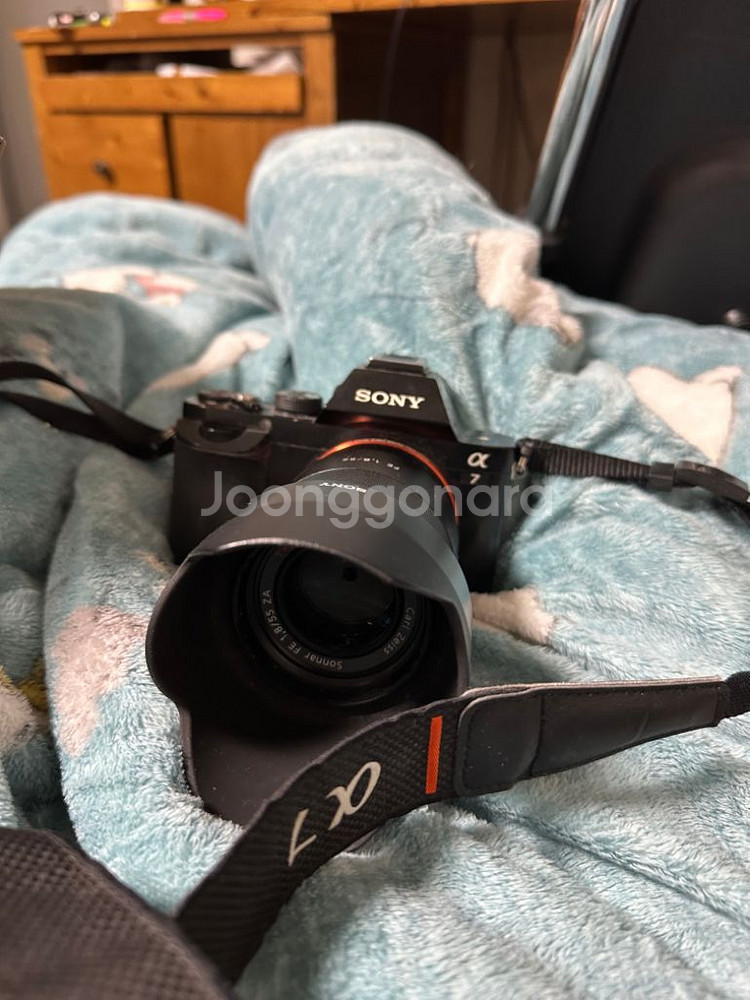 소니a7+sel55f18z--3