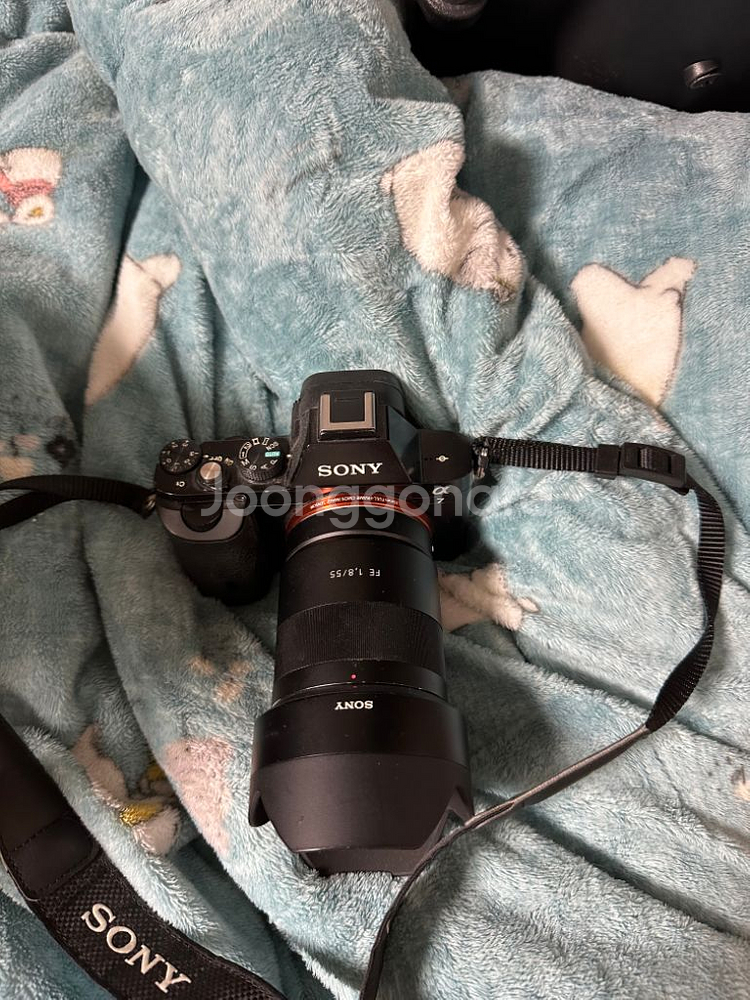 소니a7+sel55f18z--2