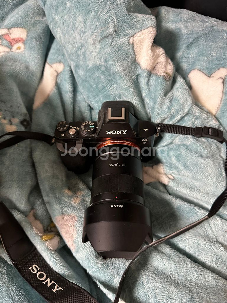 소니a7+sel55f18z--1