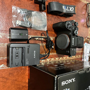 소니 a7s3 팝니다
