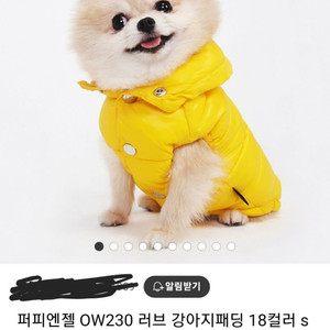 한번도 안입은 퍼피엔젤 패딩 하네스 사이즈s