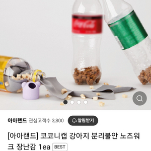 노즈워크) 아아랜드 코코니캡