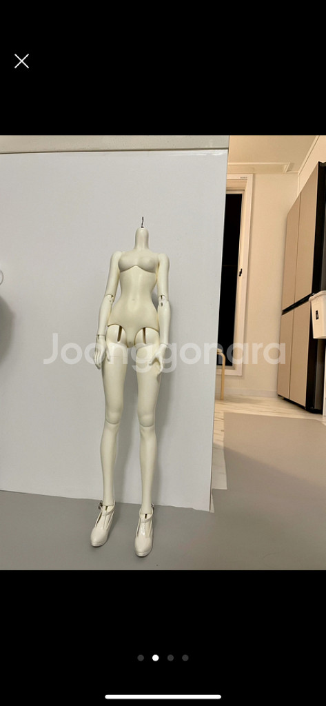 돌패밀리 미백 바디 구체관절인형 1/3 bjd sd--1