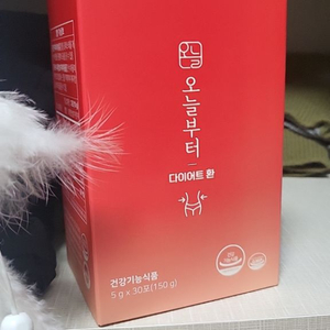 오늘부터 다이어트환