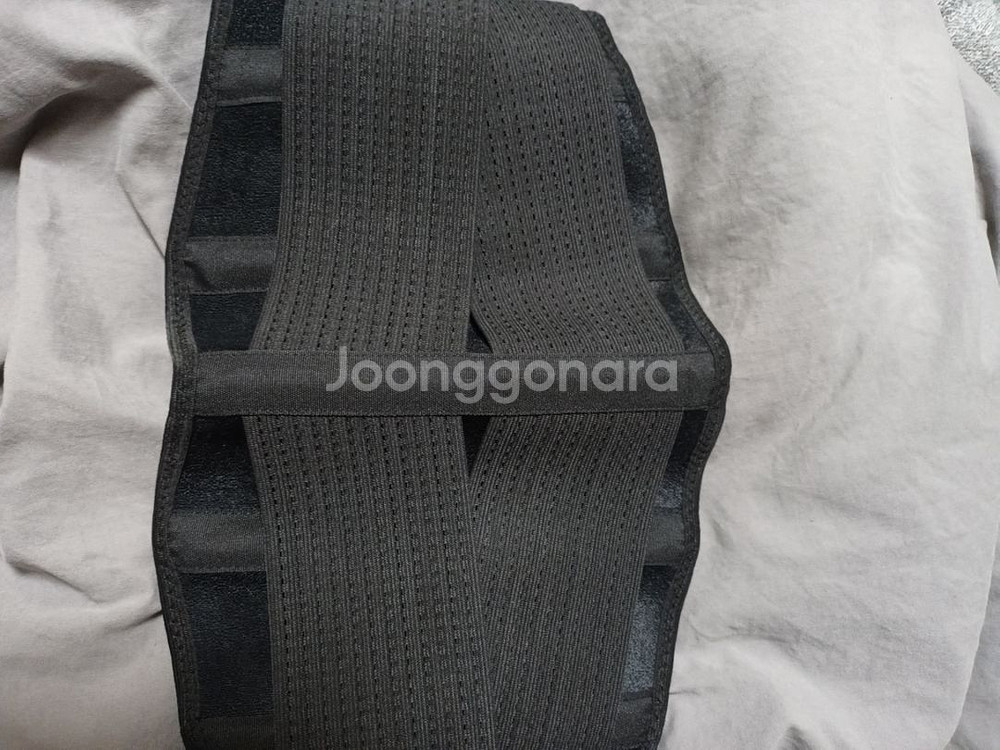 에르고바디 허리벨트 허리보호대 L--1