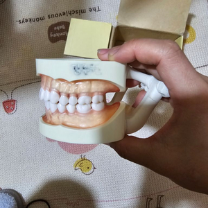덴티폼팝니다.