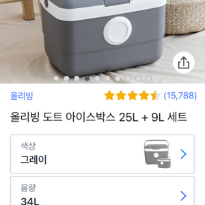 아이스박스 25L