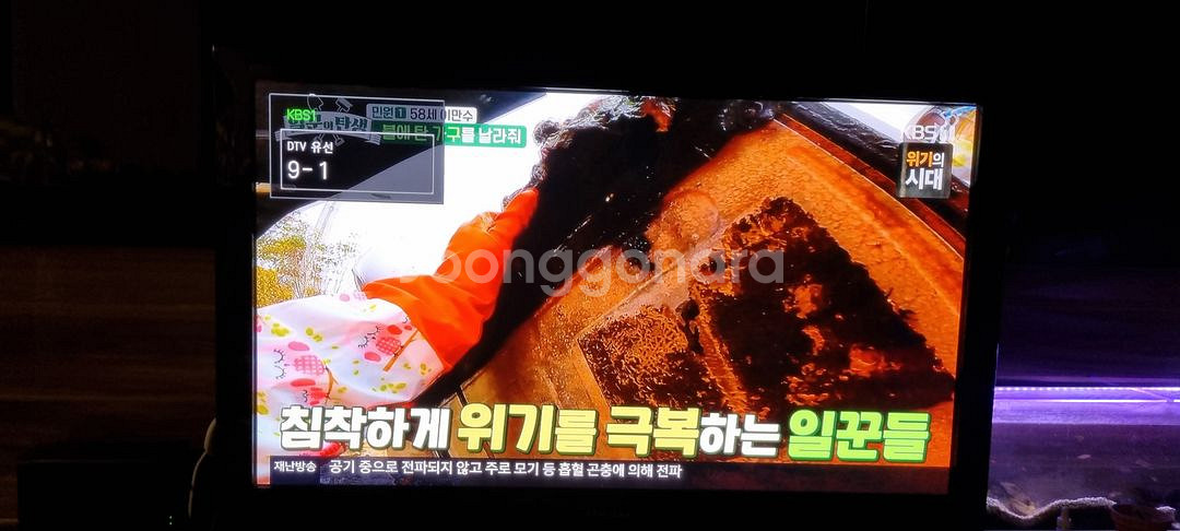 삼성 PDP TV 50인치--6