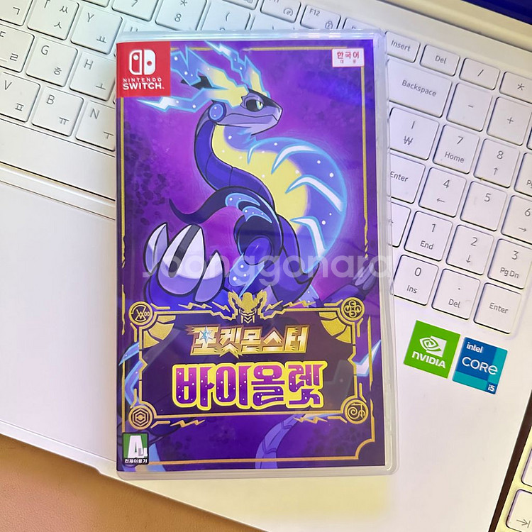 포켓몬스터 바이올렛--0