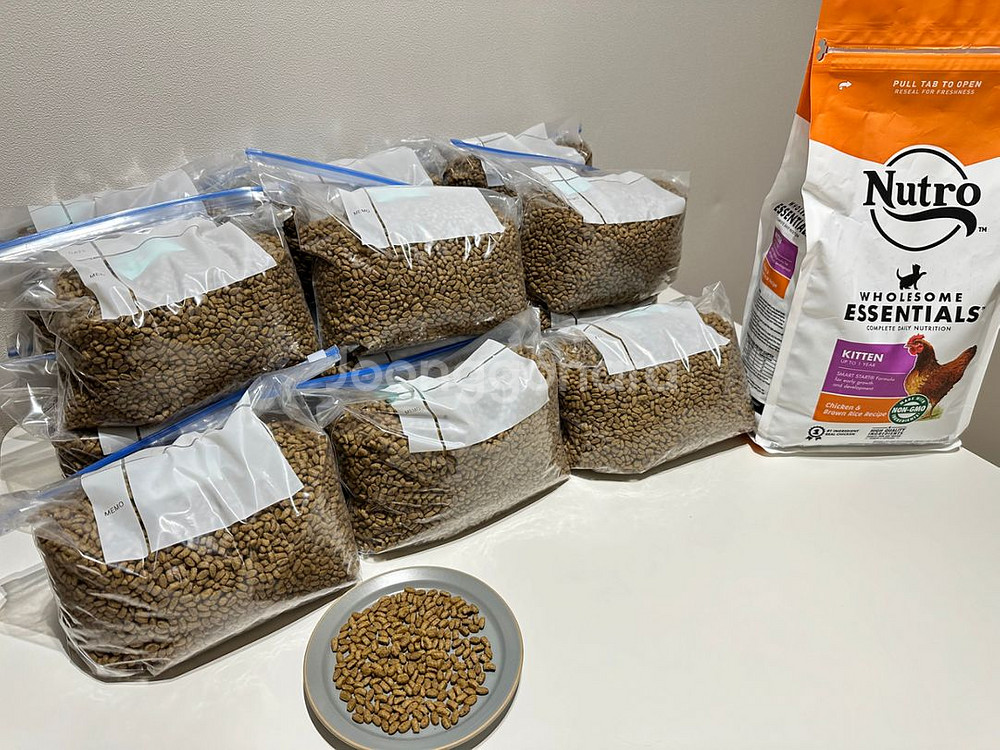 뉴트로 초이스 키튼 고양이 사료--0