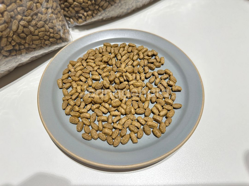 뉴트로 초이스 키튼 고양이 사료--1