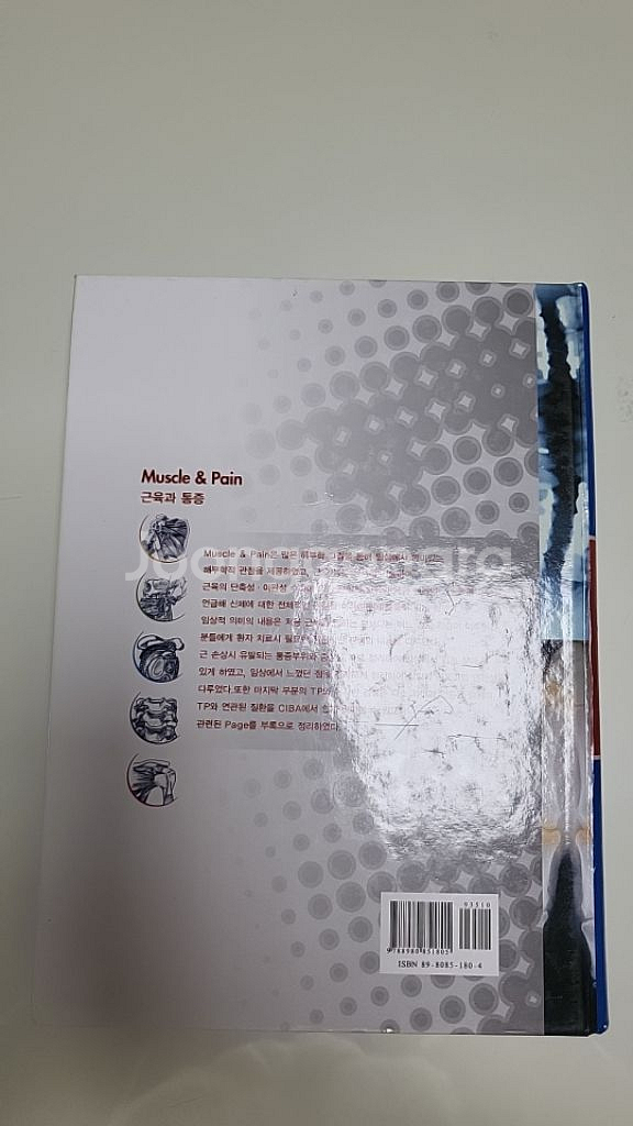 근육과통증--1