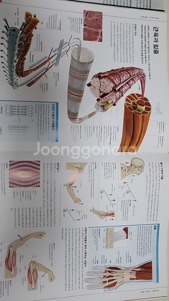 3차원으로보는 사람 몸 대백과사전--2