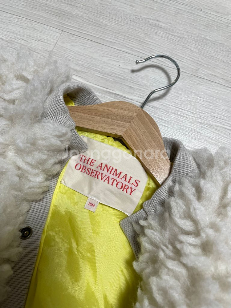 타오 치와와수트 뽀글이 18m--1