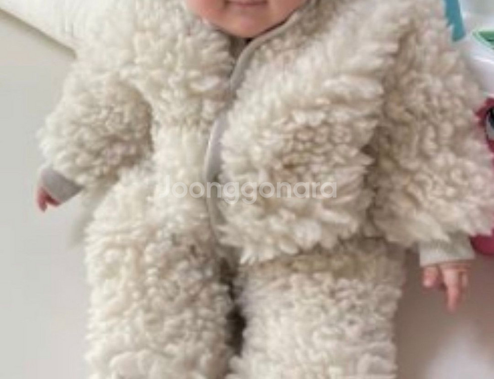 타오 치와와수트 뽀글이 18m--3