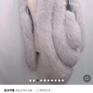 유럽산 사가폭스 줄줄이 베스트 팔아요.