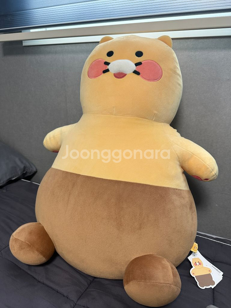 춘식이 대왕필로우--1