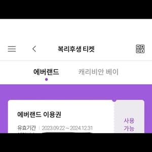 에버랜드 종일권 24년도까지