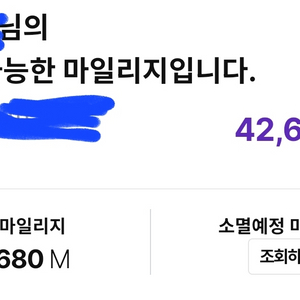 하나투어 마일리지 4만점