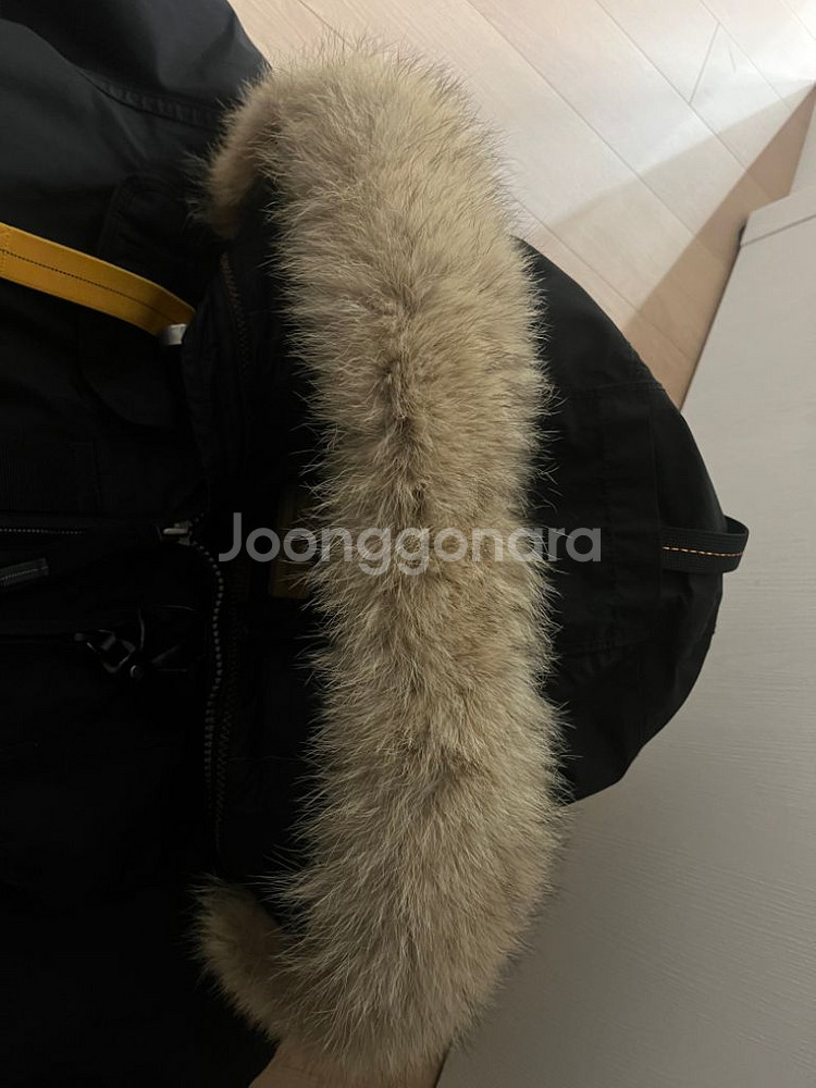 파라점퍼스 고비 마스터피스 m 21fw 판매완료--4
