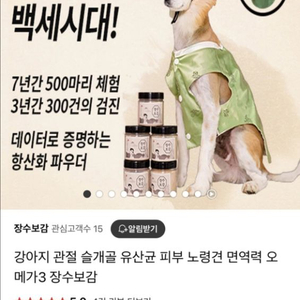 강아지 간식 장수보감 (노견 간식 가능)